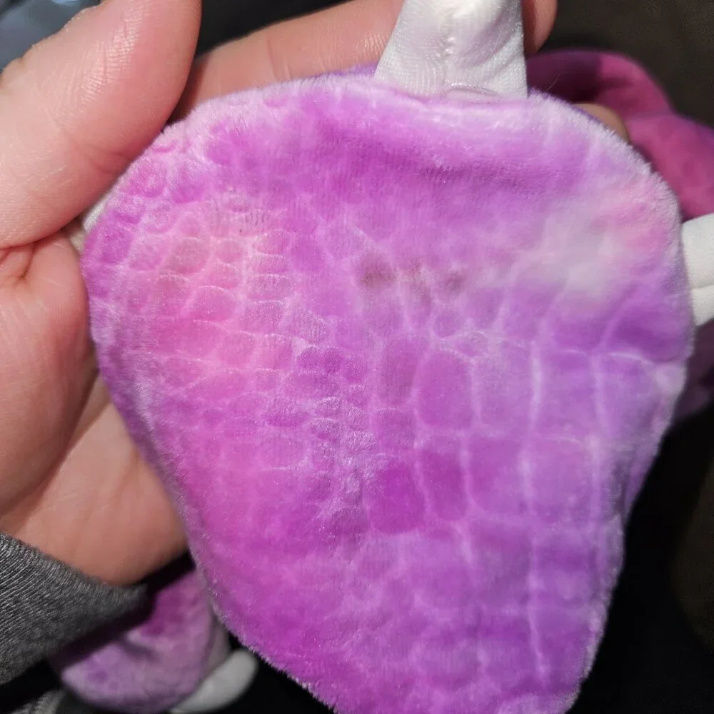 Spirit pink purple